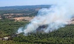 İzmir Buca'da orman yangını çıktı