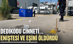 Dedikodu cinneti:Eniştesi ve eşini öldürdü