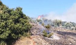 Zirai alanda yangın karadan ve havadan müdahale ediliyor