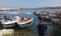 Kaş ve Yalova’da ceza kesildi, savcılığa suç duyurusunda bulunuldu