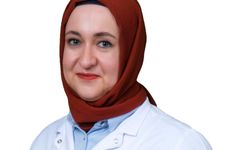 Seyahat sonrası ateşlenme sıtmanın habercisi olabilir