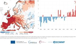 Copernicus açıkladı: Temmuz ayında denizler rekor sıcaklığa ulaştı