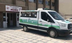 Sürücü ve yaya hayatını kaybetti