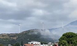 Balıkesir'de bir ormanyangını da Erdekte çıktı
