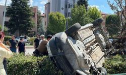 Araç, çarptığı ağacı devirip takla attı
