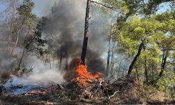 Fethiye Yanıklar'da araç yangını ormanlık alana sıçradı