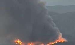 Son dakika: Fethiye’de şehir merkezine yakın orman yangını