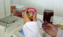 Arı zehrinden zeytinyağına, MSKÜ Gıda Laboratuvarı kapılarını tüm Türkiye'ye açtı