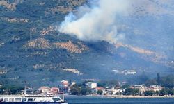 Balıkesir Marmara'da Orman Yangını!