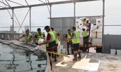 Muğla’dan 55 milyon avroluk yavru balık ihracatı yapıldı