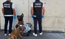 Narkotik köpeği valizde 21 bin sentetik ecza buldu