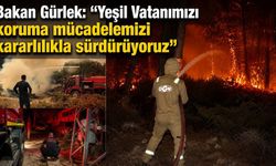 Bakan Gürlek açıkladı: ‘97 orman yangınında 69 şüpheli, 15 tutuklama’