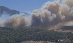 Ziraat alanında yangın ormana sıçradı: Alevler Kaş sınırına geçti