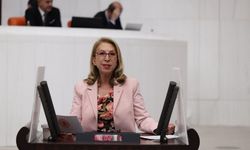 Muğla Milletvekili Öneş Derici: "Yangınlara karşı Meclis harekete geçmeli"