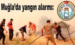 Muğla’da yangın alarmı: Kaynak, spiral ve taşlama için yeni dönem