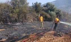 Milas Bafa’da tarım arazisindeki yangın söndürüldü