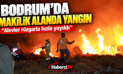 Bodrum'da makilik alanda yangın: "Alevler rüzgarla hızla yayıldı"