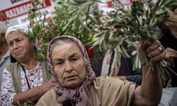 Milas'taki termik santrallere ilişkin dava öncesi Danıştay önünde açıklama