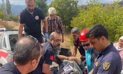 Ceviz ağcından düşen yaşlı kadın yaralandı