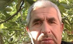 Tedavi için hastaneye geldi, Kazada hayatını kaybetti