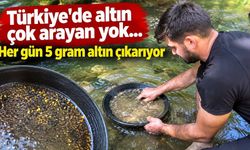 Türkiye'de altın çok arayan yok... Her gün 5 gram altın çıkarıyor