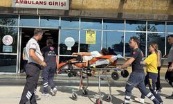 Amca-yeğen kavgası kötü bitti: 1 ölü, 1 yaralı