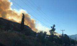 Antalya Aksu'da orman yangını