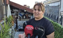Çatı katını arılar bastı: Arıların soktuğu kadın hastanelik oldu