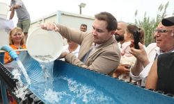 Bodrum’da balık festivali için geri sayım başladı