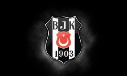 Beşiktaş, olağanüstü seçimli genel kurul kararı aldı