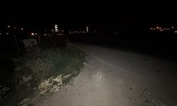 Yol kenarında erkek cesedi bulundu