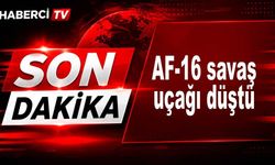 F-16 savaş uçağı düştü, pilot kurtuldu