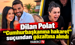 Dilan Polat "Cumhurbaşkanına hakaret" suçundan gözaltına alındı.