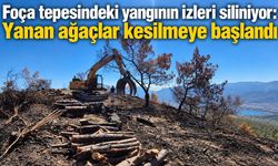 Foça tepesindeki yangının izleri siliniyor: Yanan ağaçlar kesilmeye başlandı
