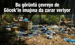 Bu görüntü çevreye de Göcek’in imajına da zarar veriyor
