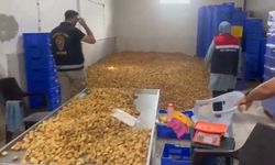 20 milyon TL değerinde 25 ton etiketsiz kuru incir ele geçirildi