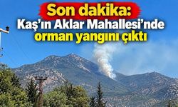 Son dakika: Kaş’ın Aklar Mahallesi’nde orman yangını çıktı