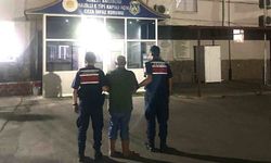 Ormanlık alanda kenevir yetiştiren şüpheli suçüstü yakalandı