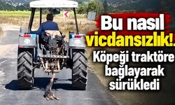 Bu nasıl vicdansızlık!.. Köpeği traktöre bağlayarak sürükledi