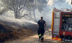 Bodrum-Milas karayolu üzerinde ot yangını