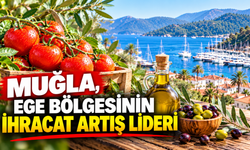 Muğla, Ege Bölgesinin ihracat artış lideri