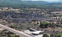 Alevler geride kara bir tablo bıraktı: 150 hektar zarar gördü