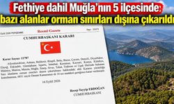 Fethiye dahil Muğla’nın 5 ilçesinde bazı alanlar orman sınırları dışına çıkarıldı
