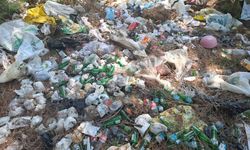 Seydikemer’de ormanlık alanlarda çöp tepkisi