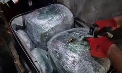 Binlerce kişiyi zehirleyecekti