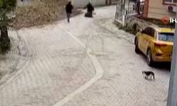 Yolda yürüryen 76 yaşındaki kadın rögara düştü