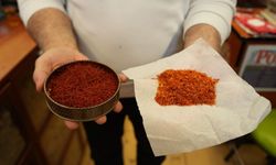 Kilosu 900 bin TL: 150 bin çiçekten sadece 1 kilo çıkıyor