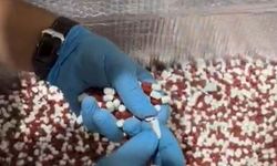 Plastik ambalaj deposunda Sentetik Ecza üretimi ortaya çıktı