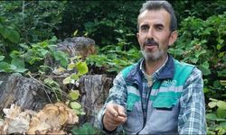 Devrilen traktörün altında kalan işçi öldü