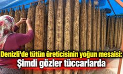 Denizli’de tütün üreticisinin gözü tüccarın vereceği fiyatta